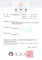 특허 제 10-0862048 호