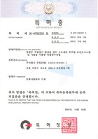 특허 제 10-0785333 호