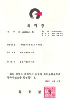 특허 제 0238994 호